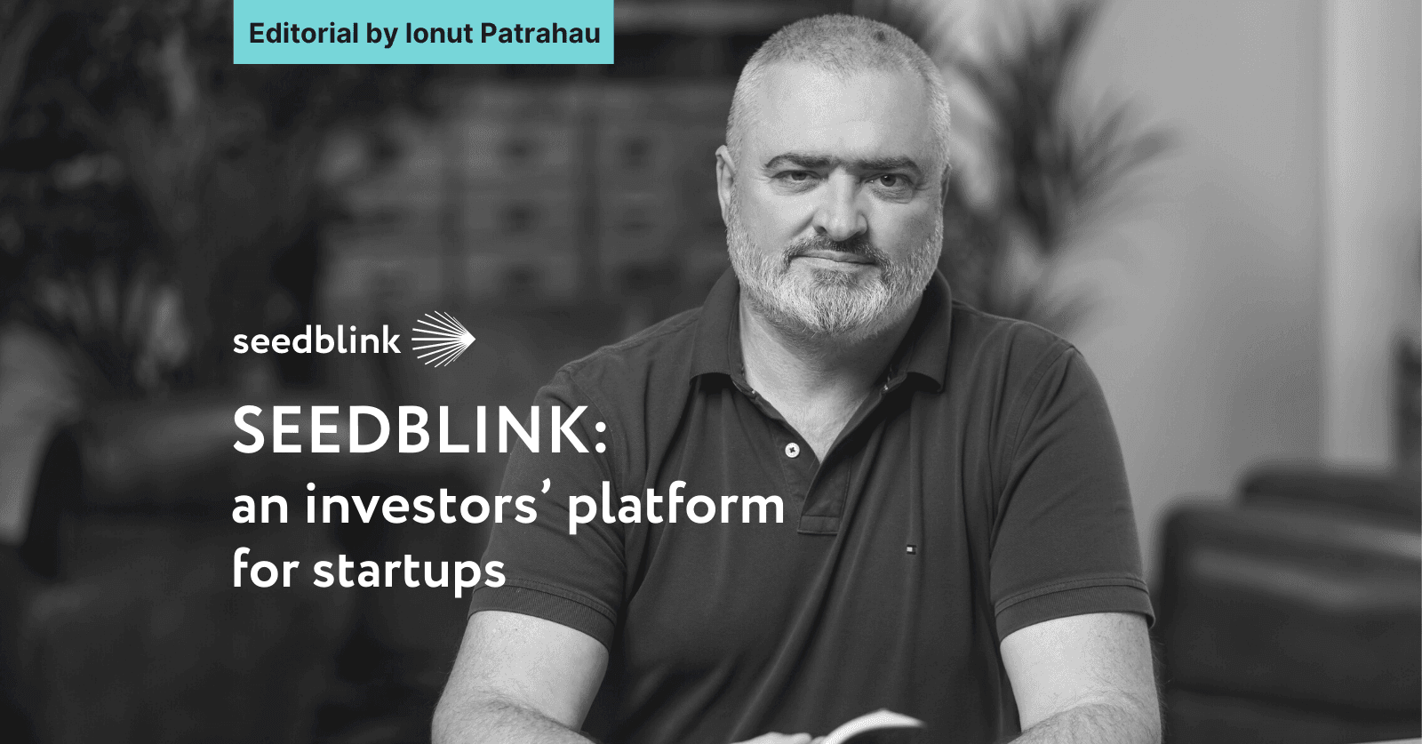SEEDBLINK: an investors’ platform for startups