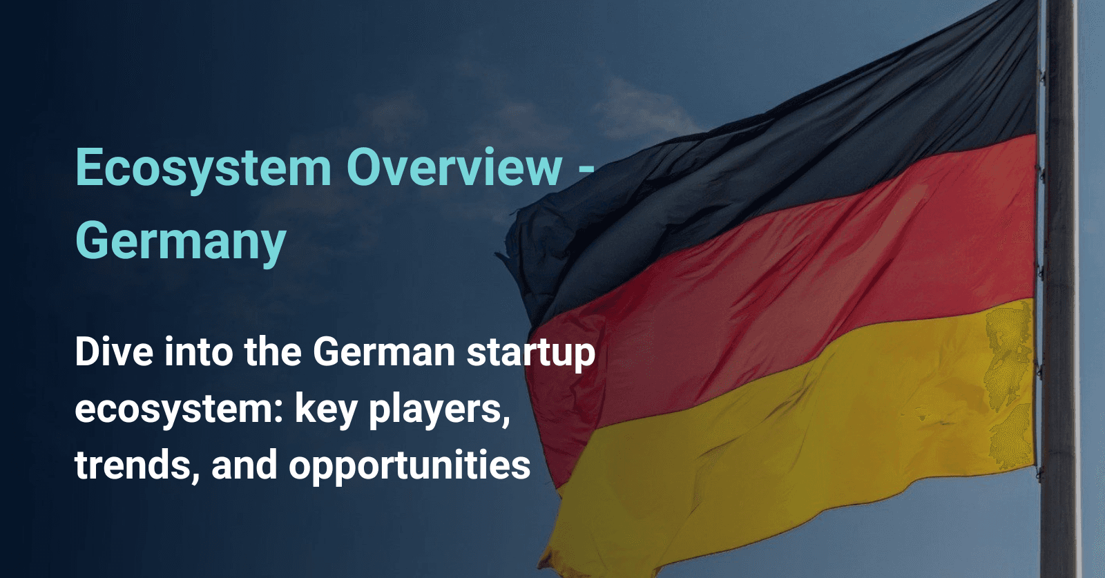 Dive into the German startup ecosystem: key players, trends, and opportunities 