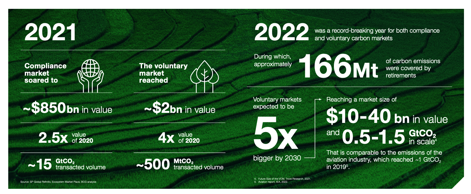 The voluntary carbon market: 2022 insights and trends